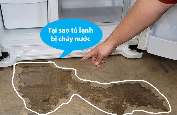 tủ lạnh bị chảy nước