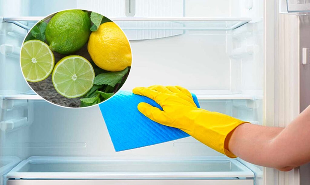 cách vệ sinh tủ lạnh sạch mùi hiệu quả