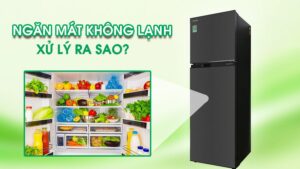 tủ lạnh inverter không lạnh ngăn mát