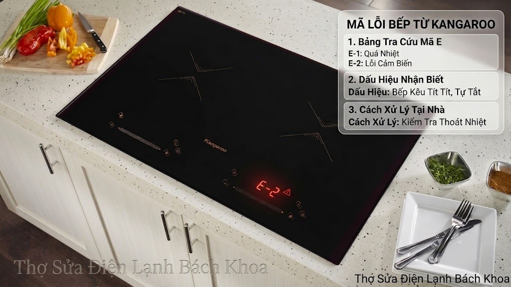 Mã Lỗi Bếp Từ Kangaroo